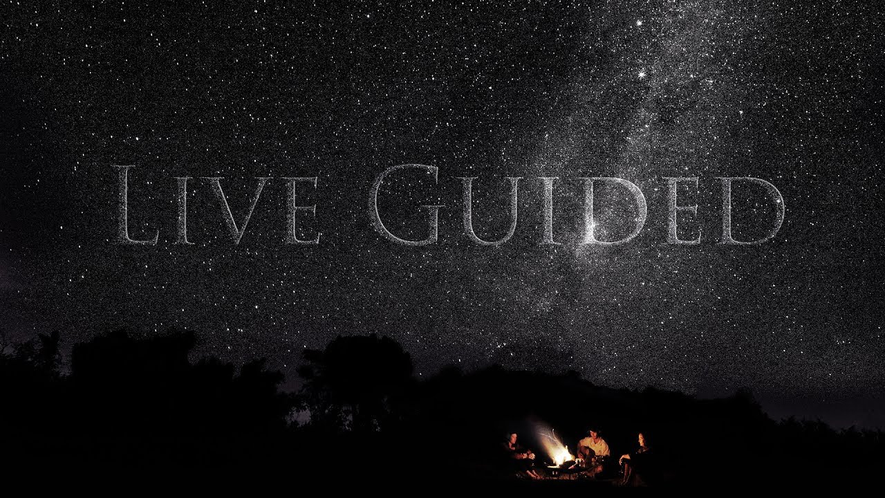 Live Guided - Londolozi TV