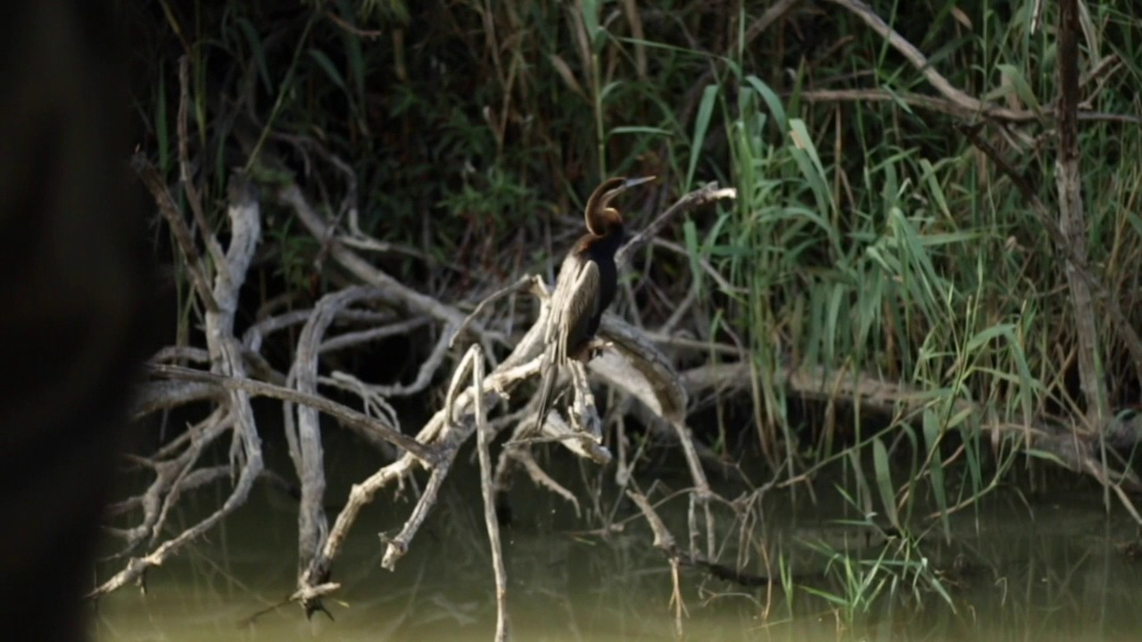 Lion Roars Hotels & Lodges - Amakhala Game Reserve Boat Cruise