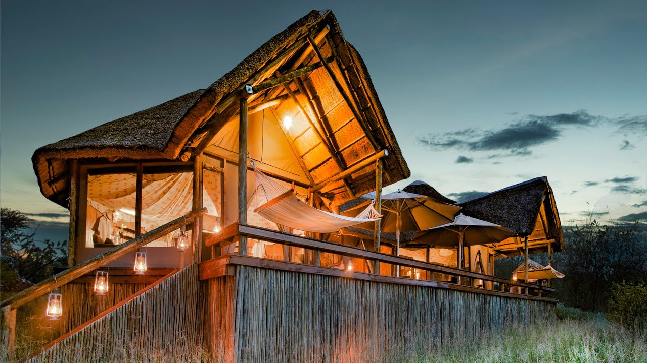 The Lodge Feline Fields - VR 360