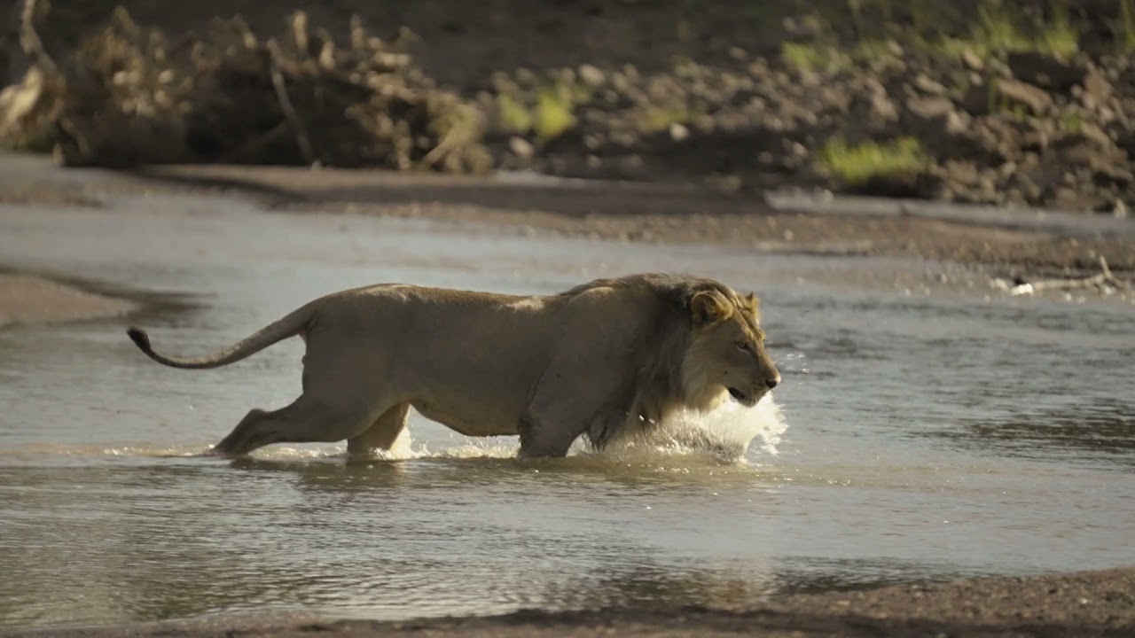Mashatu Game Reserve - 31000 hectares, 76 000 acres of pure wilderness