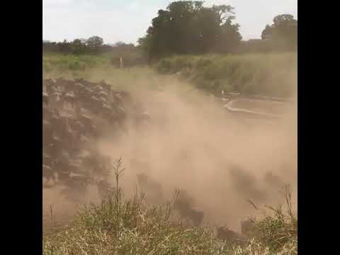 The wildebeest migration crossing the Grumeti River