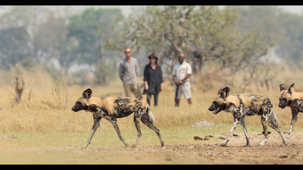 Ker & Downey Botswana, Walking Safari