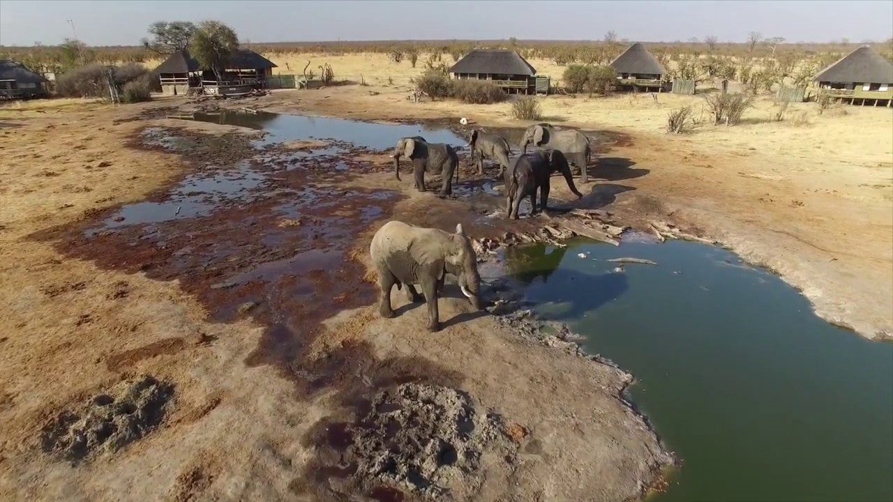 Imvelo Safari Lodges - Nehimba Lodge - Hwange National Park