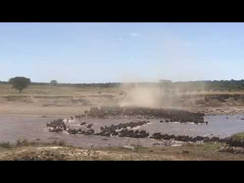 Action at Makutano area of the Mara River