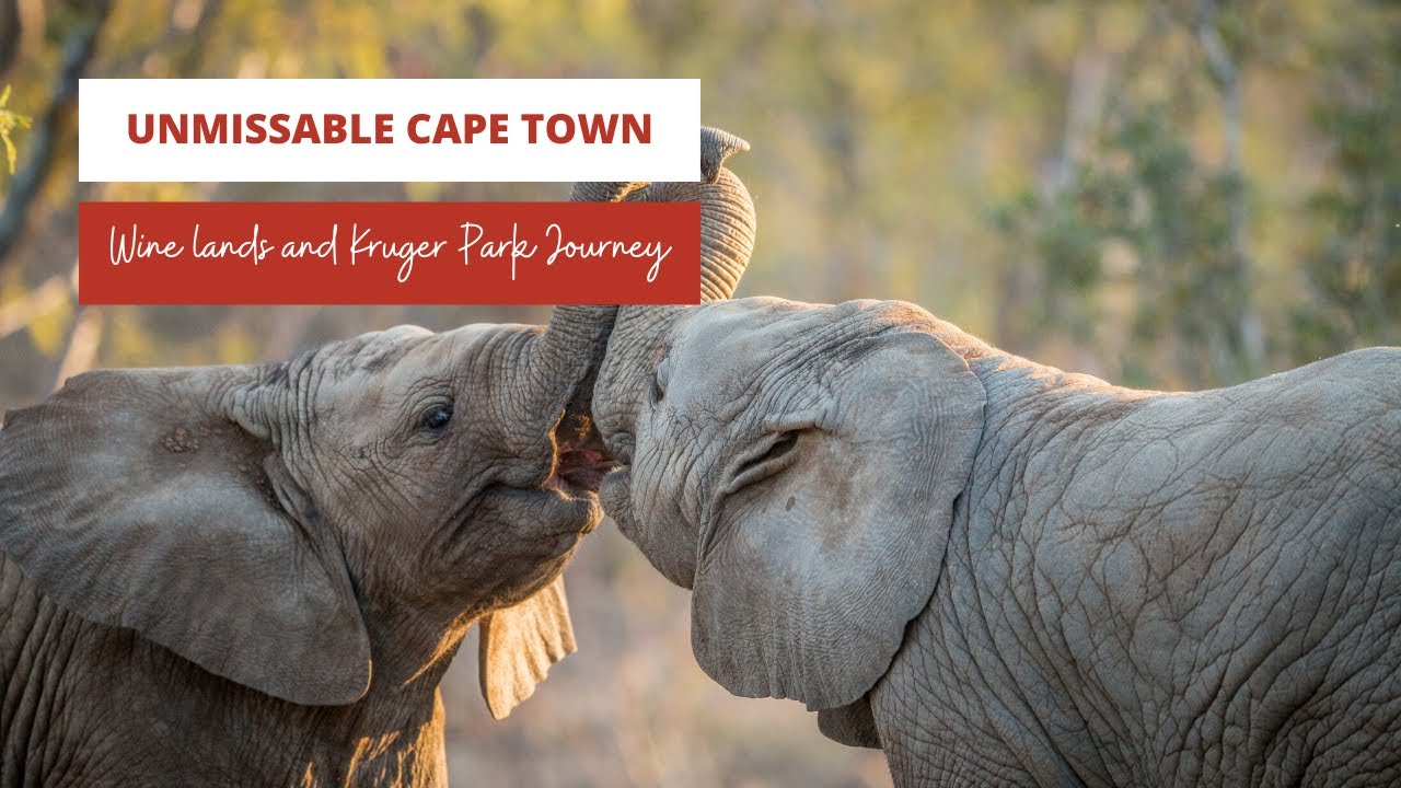 Unmissable Cape Town, Wine lands and Kruger Park Journey