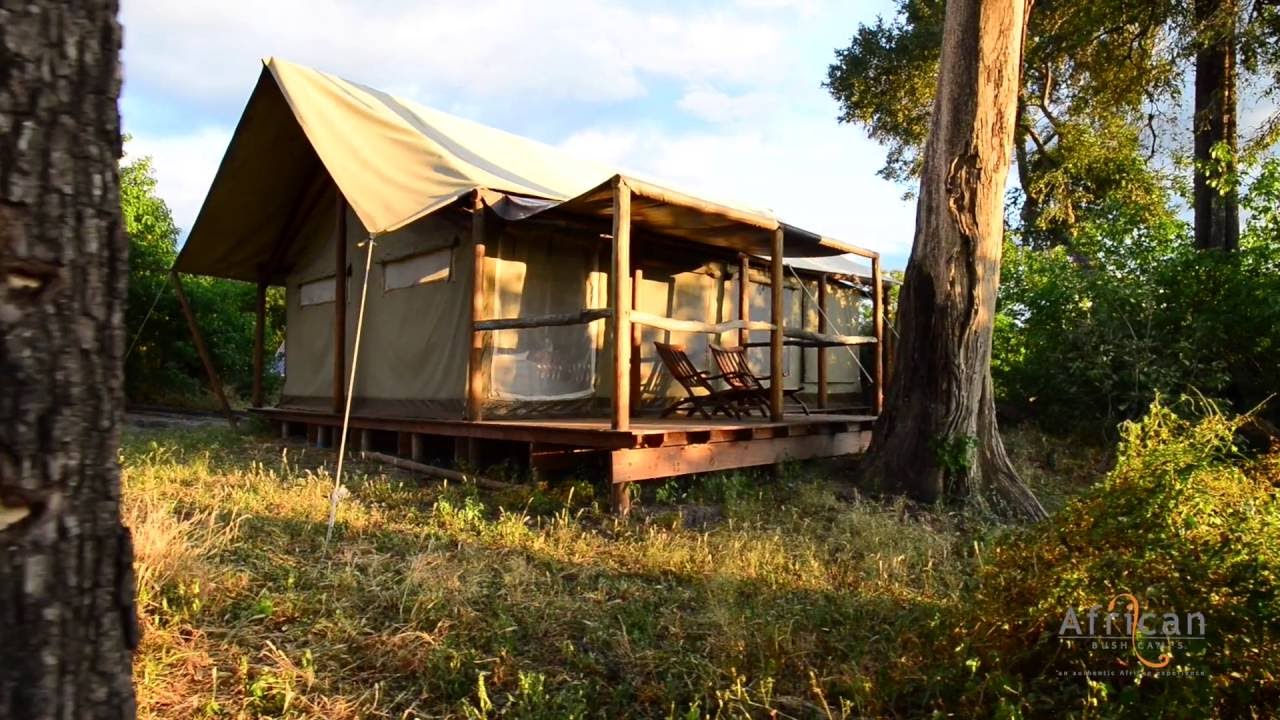 Linyanti Ebony, Chobe Enclave, Botswana