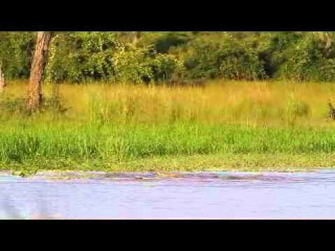 A Day at Mfuwe Lodge