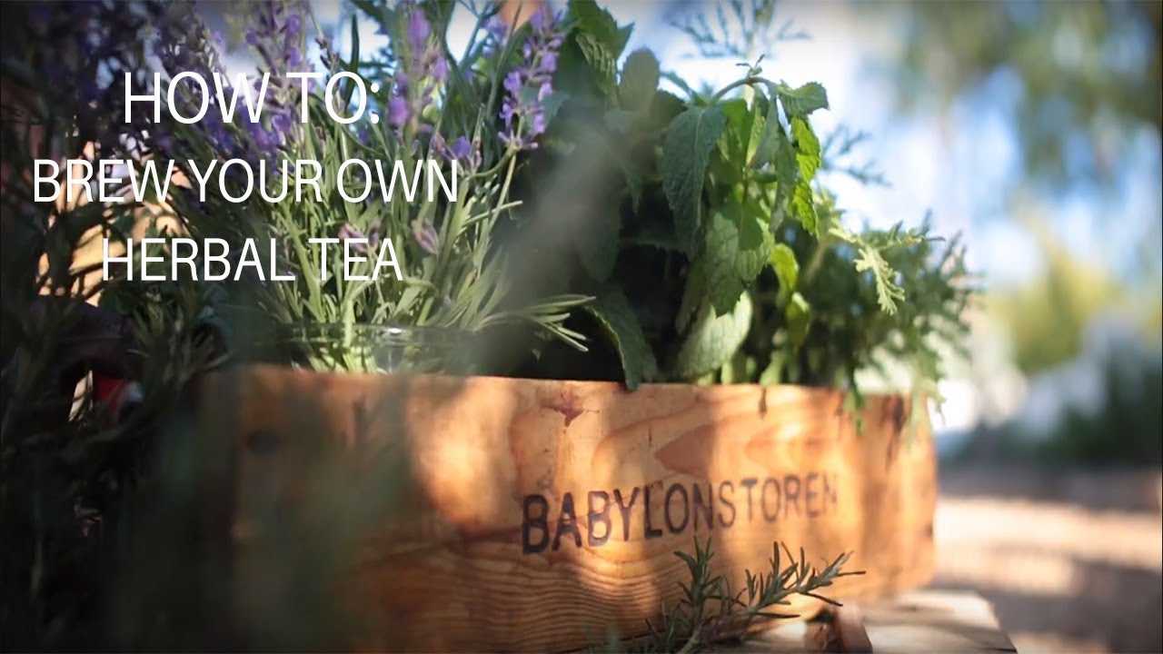 How To: Brew Your Own Herbal Tea