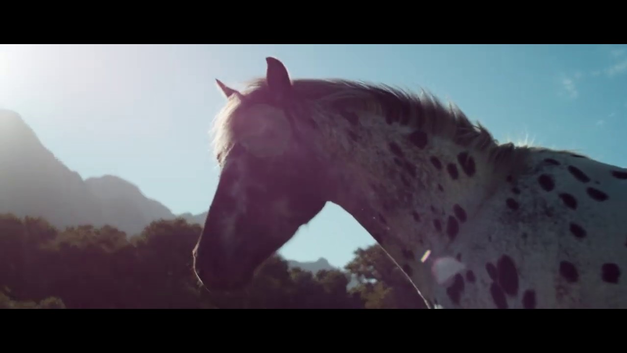 Boschendal | Live The Farm | Farm Life