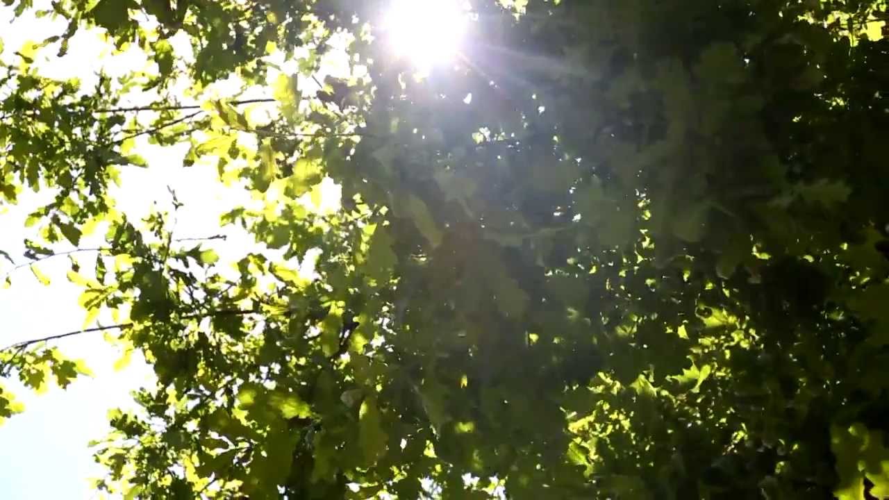 The Peech Hotel by Eric Skovsgaardf