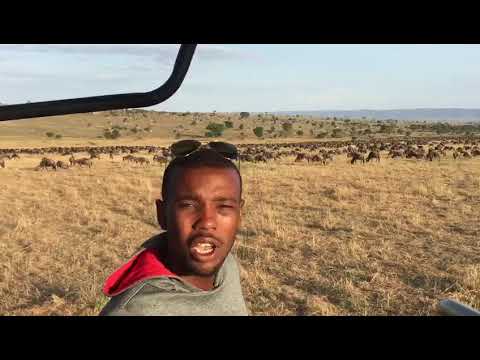 A remarkable, life changing & humbling experience