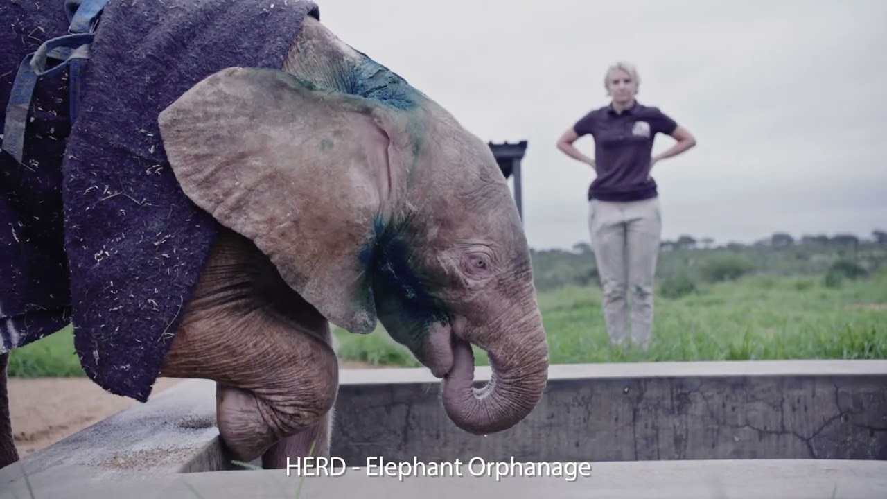 A Safari that Creates Meaningful Change | Sustainability at Jabulani