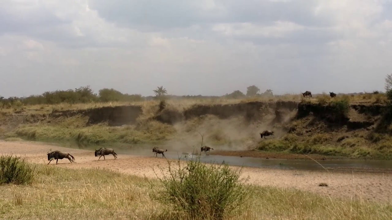 GMC Mobile Camp - Bologonja River crossing