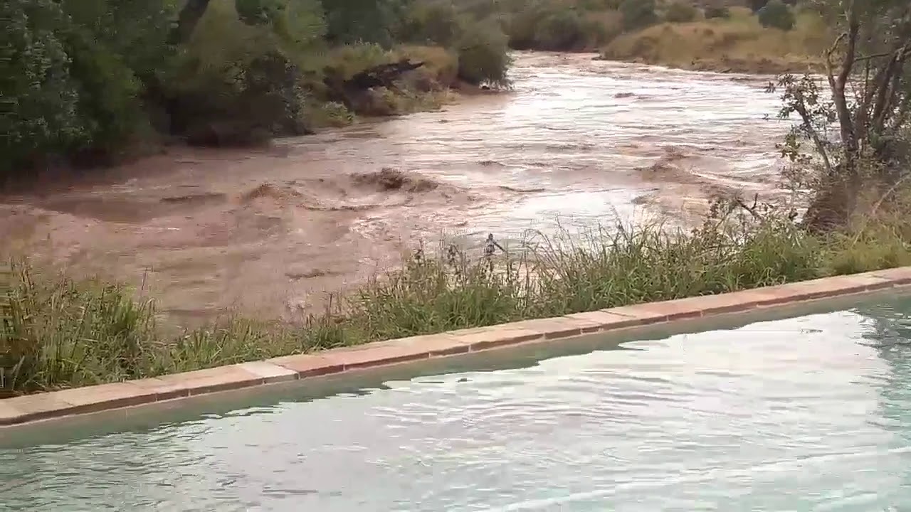 Latest #HerdTracker update: Heavy Rainfalls in the Masai Mara