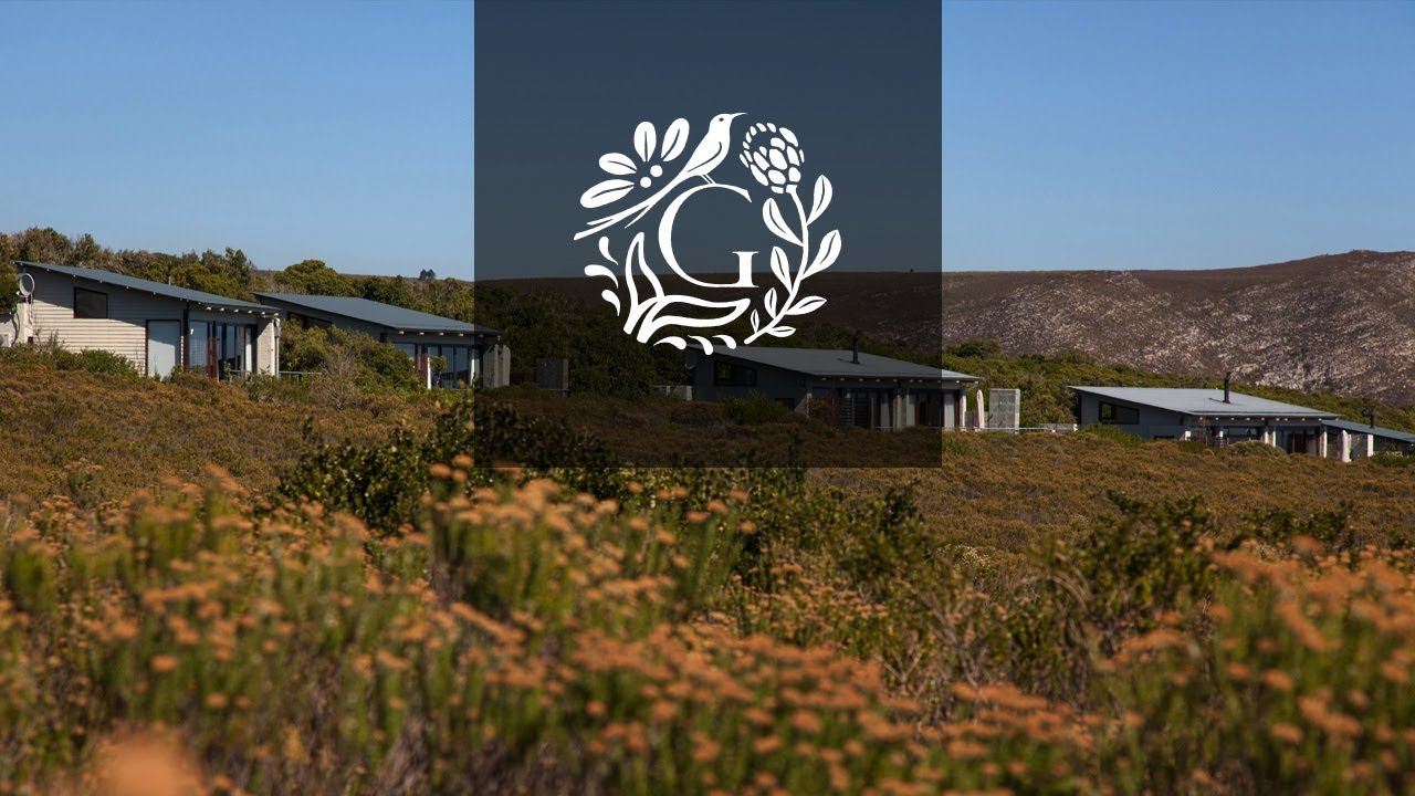 Grootbos Destination | Discover Diversity