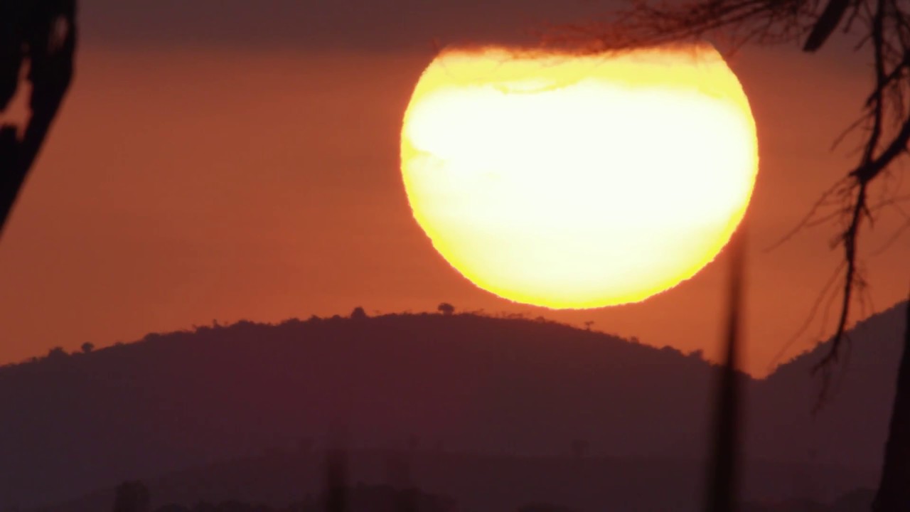 Lewa Landscape