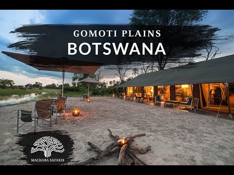 Machaba Safaris Camp   Gomoti Plains