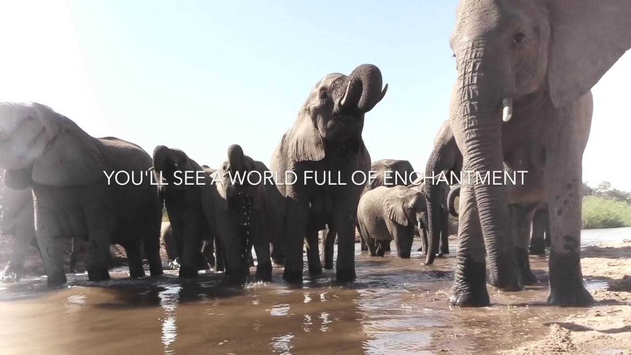 The Magic of MalaMala
