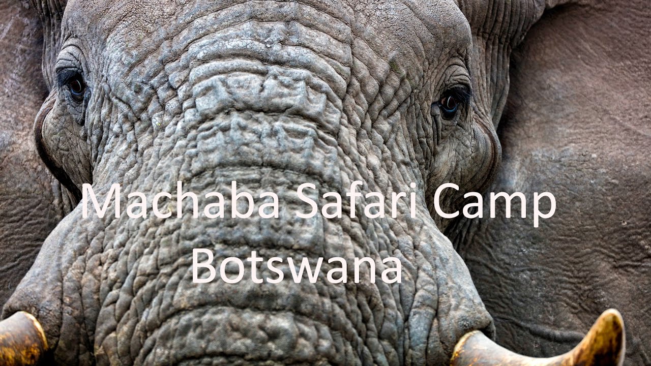 Machaba Luxury Safari Camp, Botswana