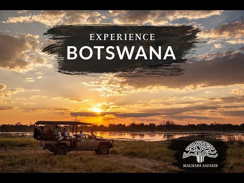 Machaba Safaris   Botswana