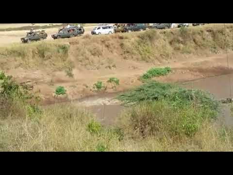 The FIRST major river crossing on the Kenyan side begin!