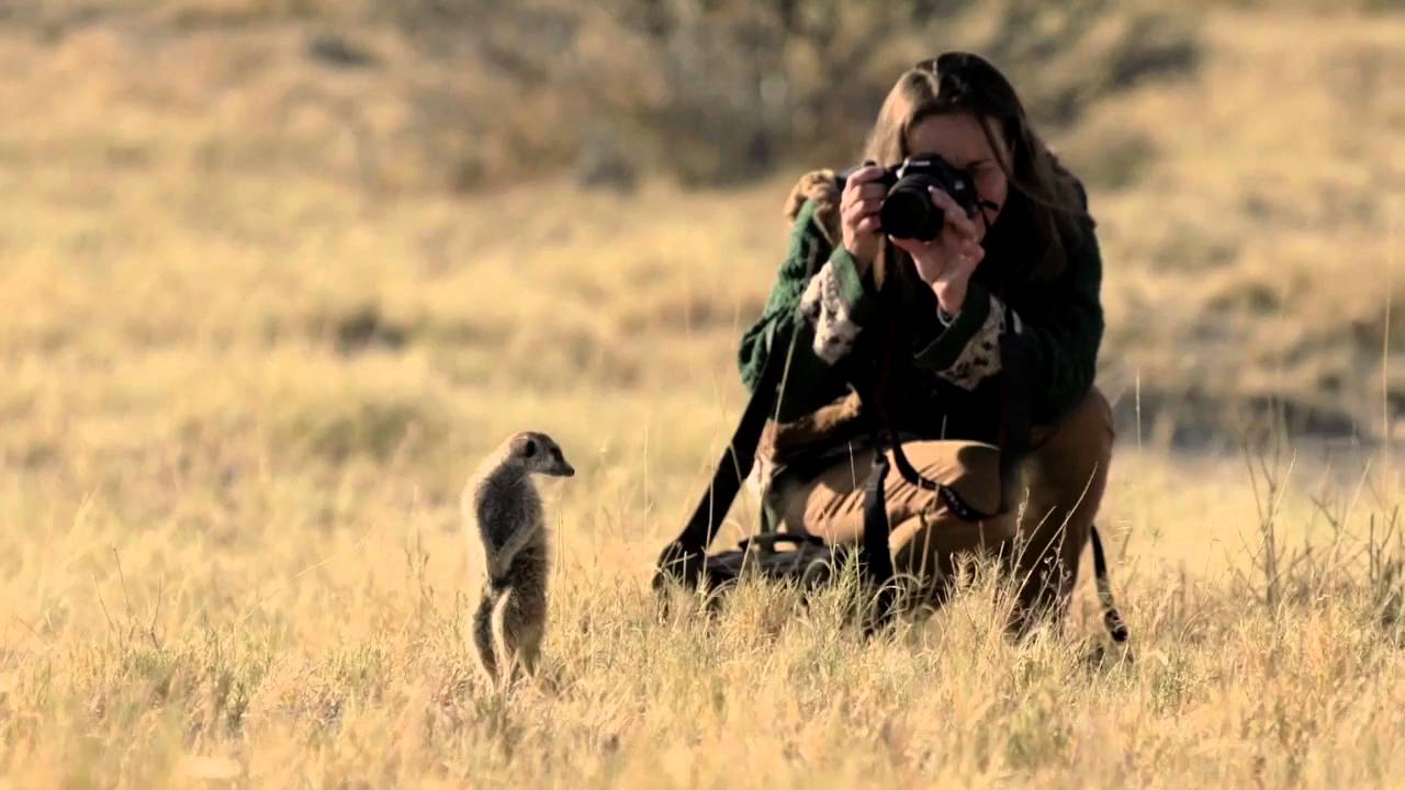 Uncharted Africa Safari co. : JACK'S CAMP - Botswana