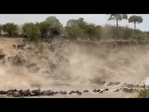 Epic Crossing on the Mara River below the Lookout Hill moving into the Mara Triangle