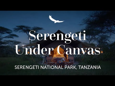 Serengeti Under Canvas | Tanzania