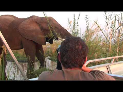 Old Mondoro camp in Lower Zambezi National Park, Zambia