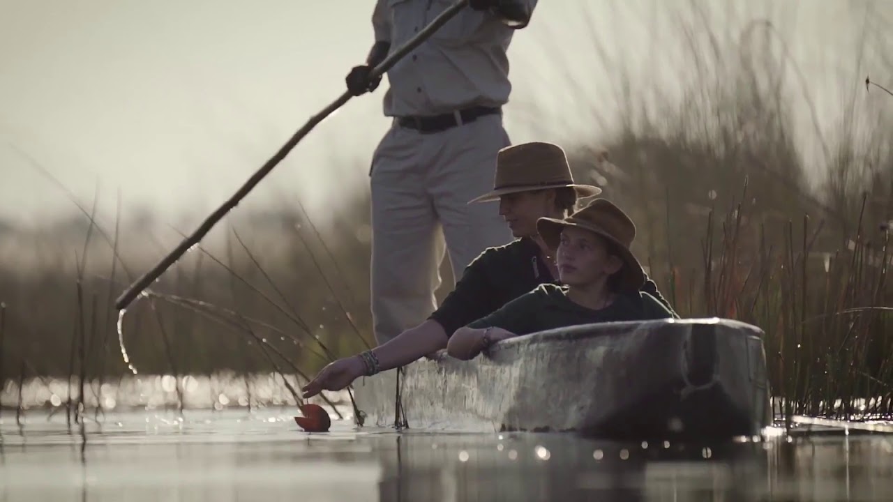 Two weeks in Botswana - a luxury safari itinerary