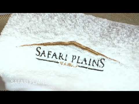 Safari Plains
