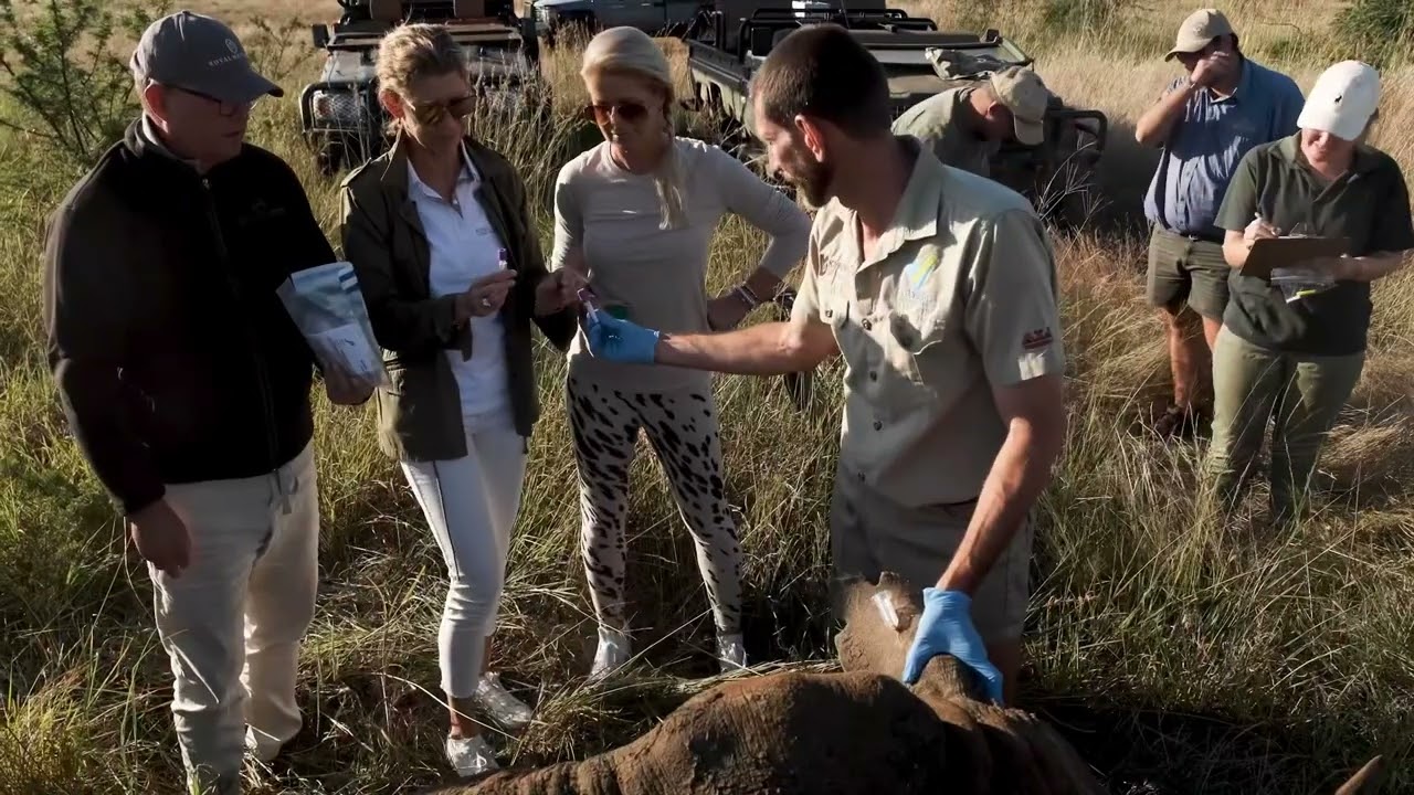 HELP SAVE RHINOS! a Hands-On Conservation Safari Experience