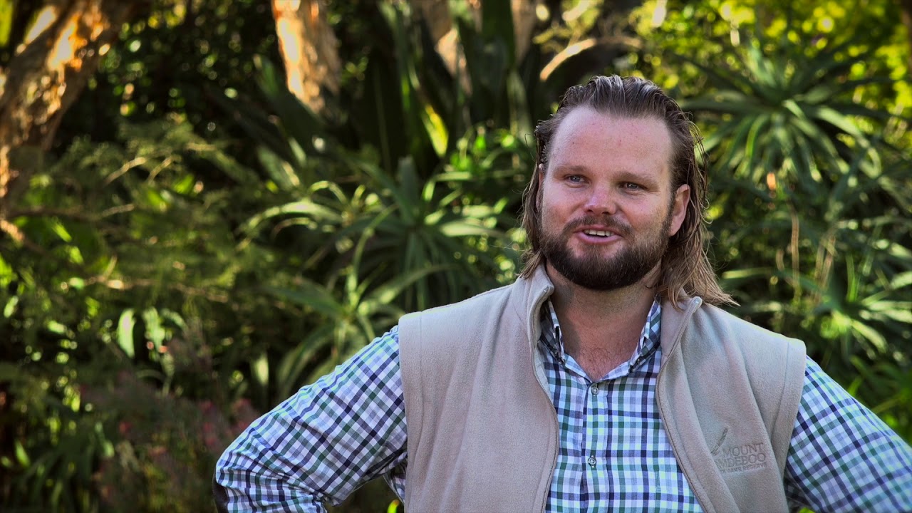 Destination: Mount Camdeboo