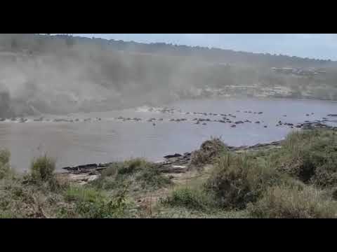 Amazing river crossings and excellent resident game