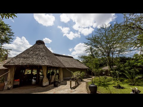 Lounge and restaurant