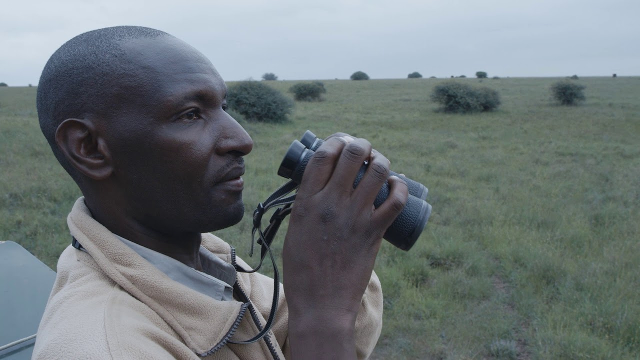 Wildlife at The Emakoko