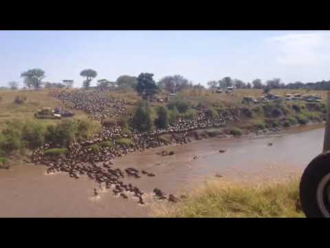Daily River crossing at point number 4 in the Mara River