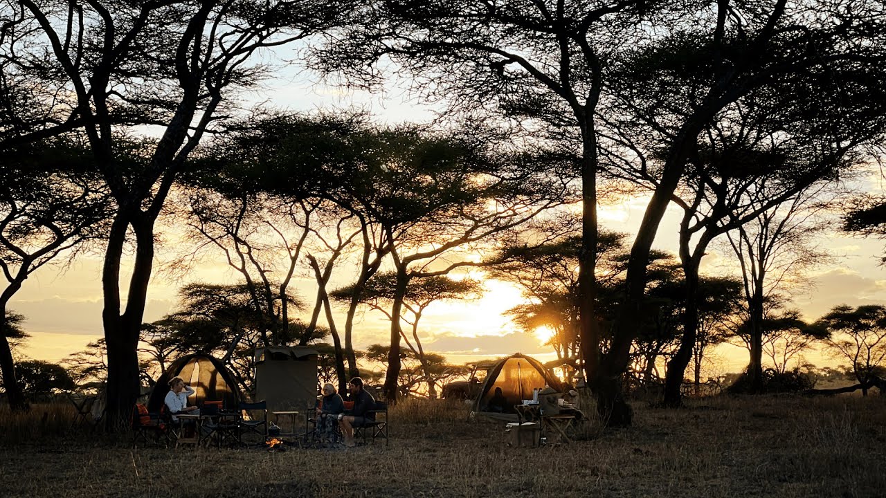 Olmara Fly Camp | Entara