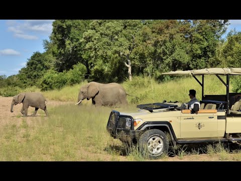 Imbali Safari Lodge in 2021