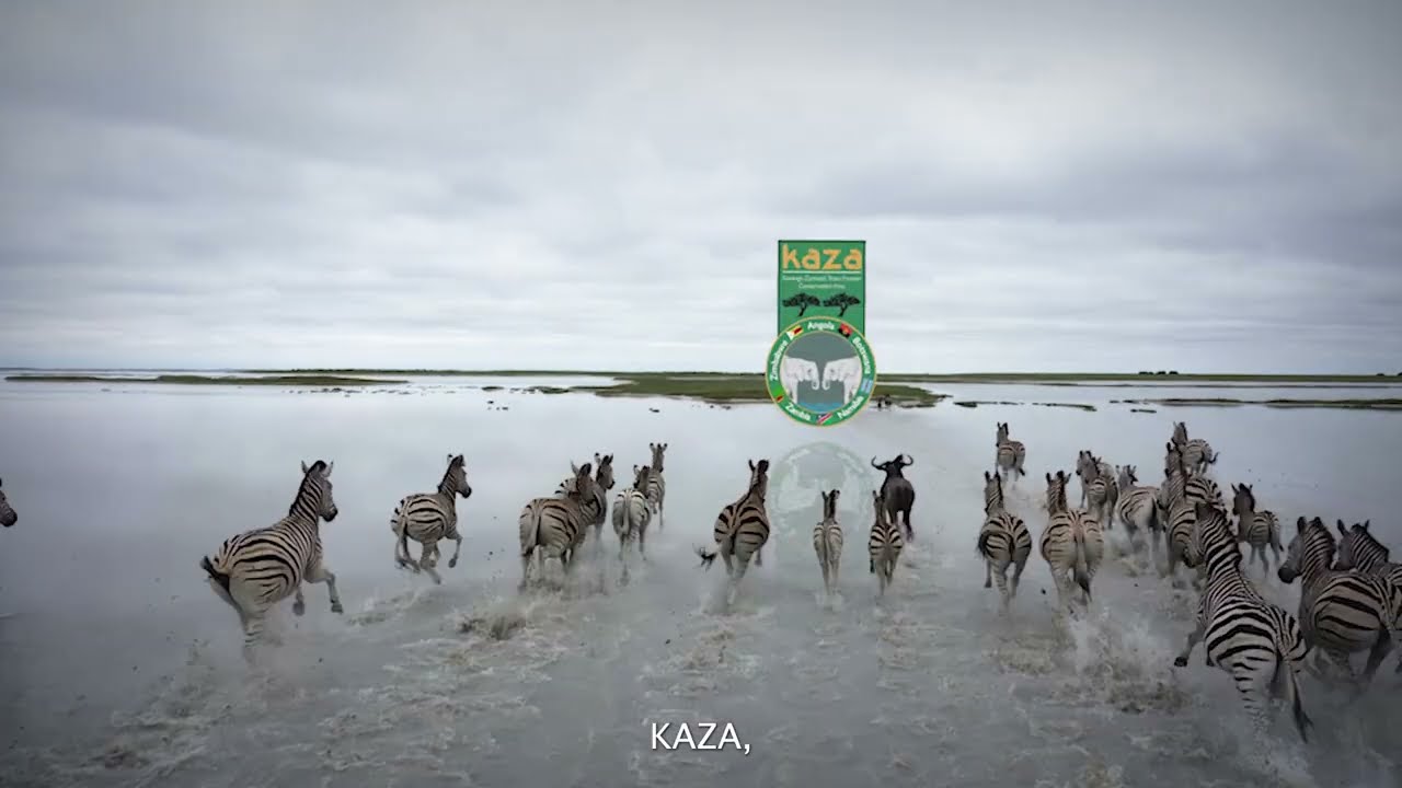 Overview of KAZA TFCA’