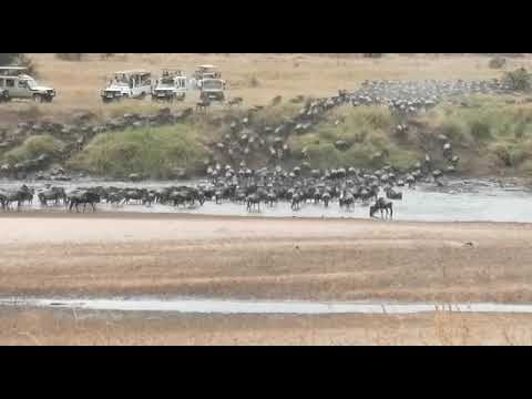 Action in the North!
