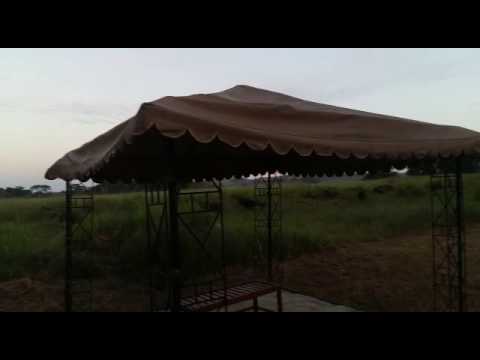 The wildebeest migration in Hembe - Part 2