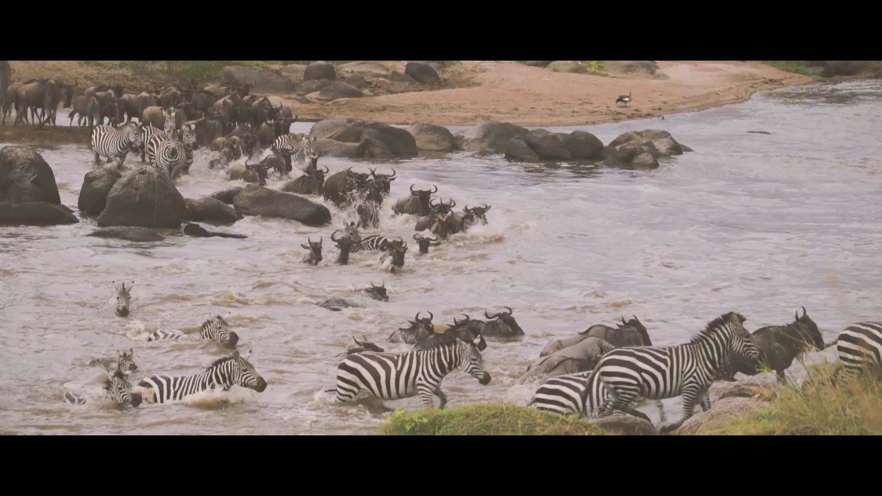 Bushtops Camps - Wild Luxury