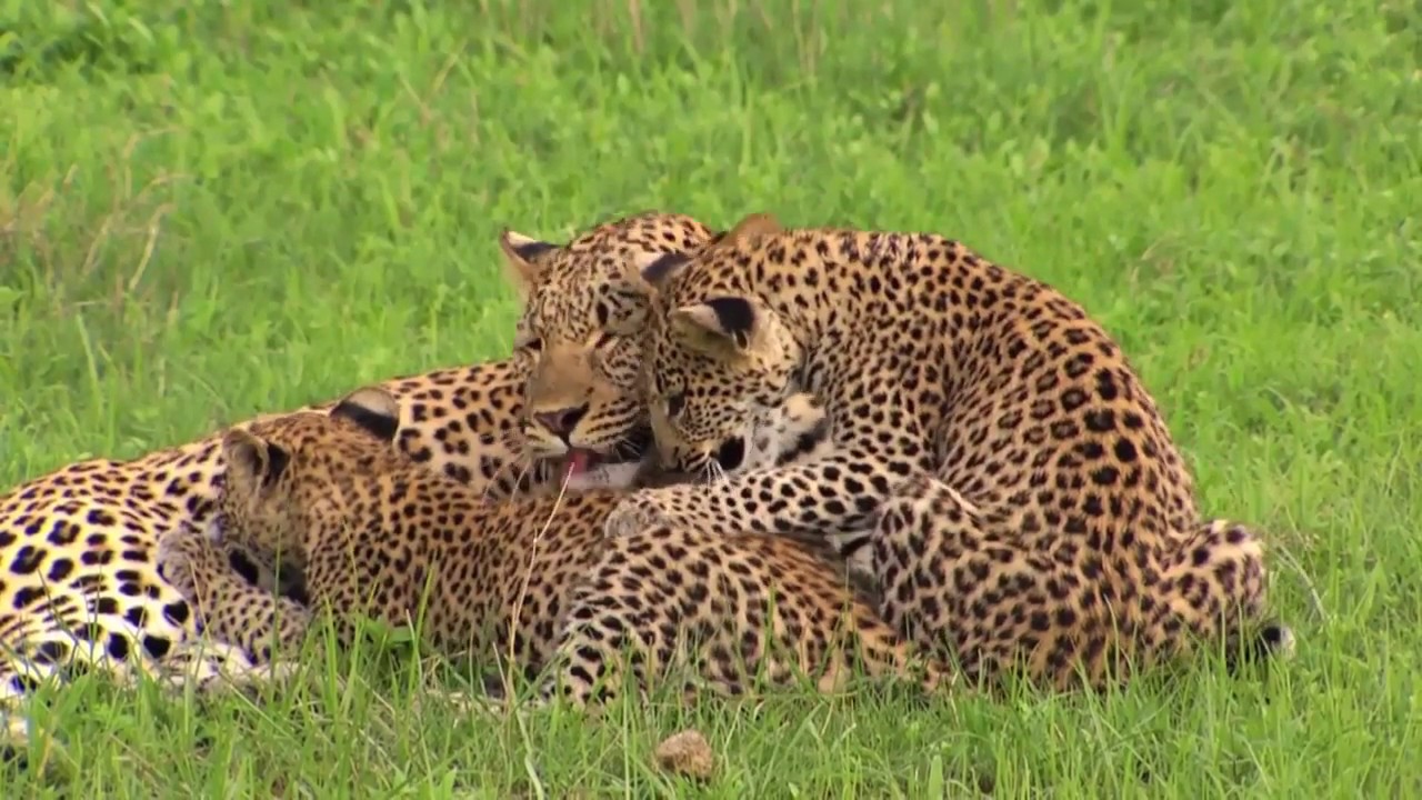 Victoria Falls Chobe and Okavango Delta Adventure