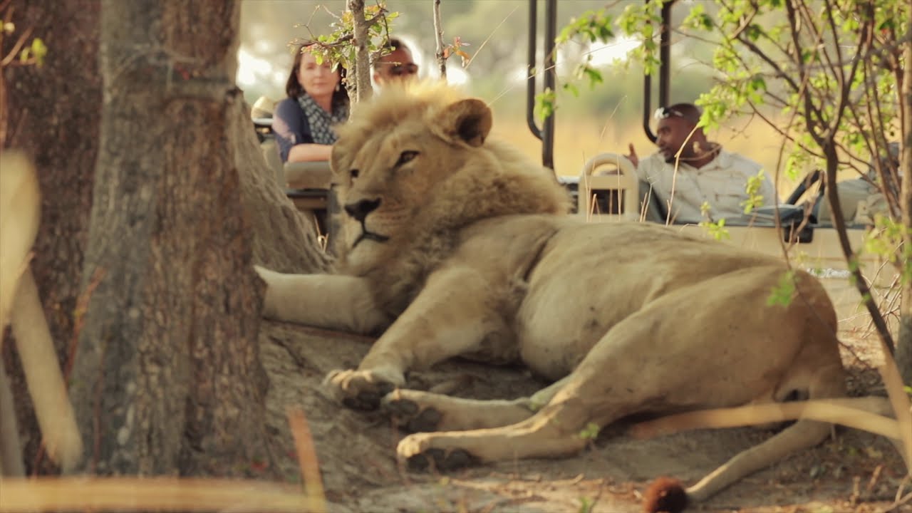 Ker & Downey Botswana, Shinde (Official Video) Short Format