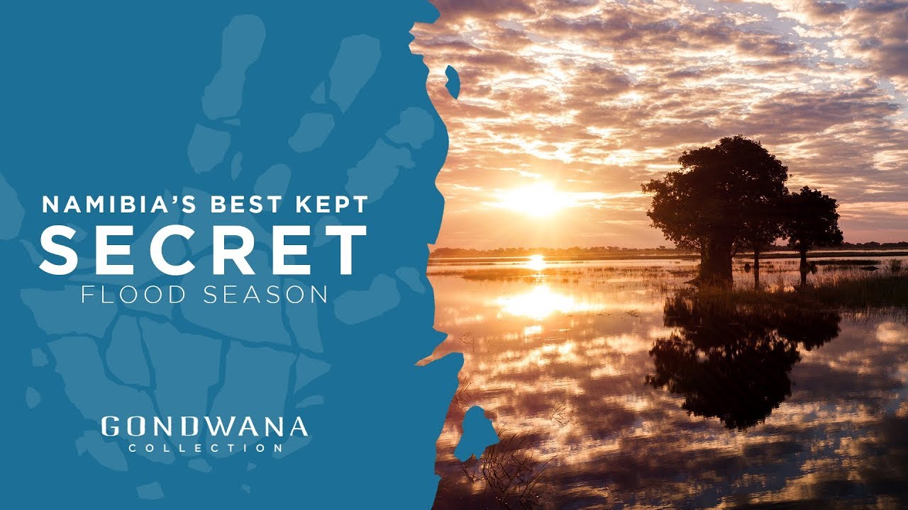 Namibia's Best Kept Secret - Flood Season