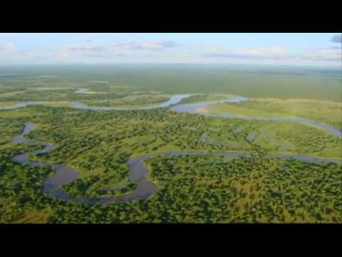 Green Season at Mfuwe Lodge, South Luangwa National Park