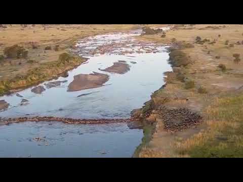 One of the first crossings at Mara River in Kogatende