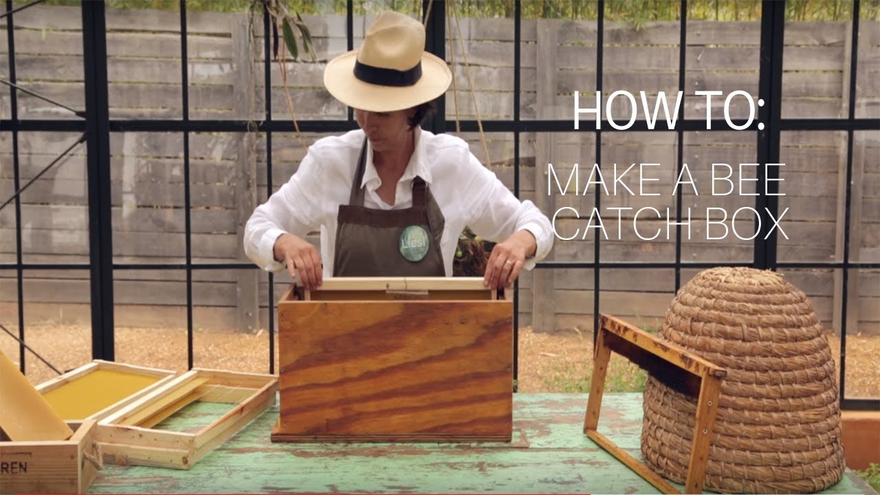 How To: Make a Bee Catch Box