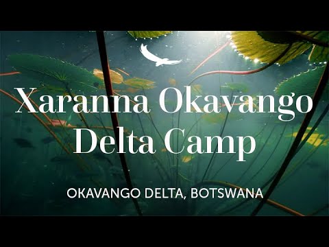 Xaranna Okavango Delta Camp | Botswana